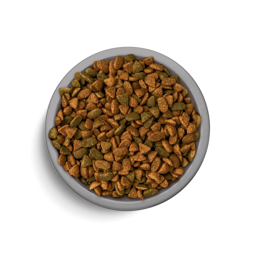 Schale mit Perfect Fit Trockennahrung für Katzen, Sorte Sensitive 1+, Reich an Truthahn.