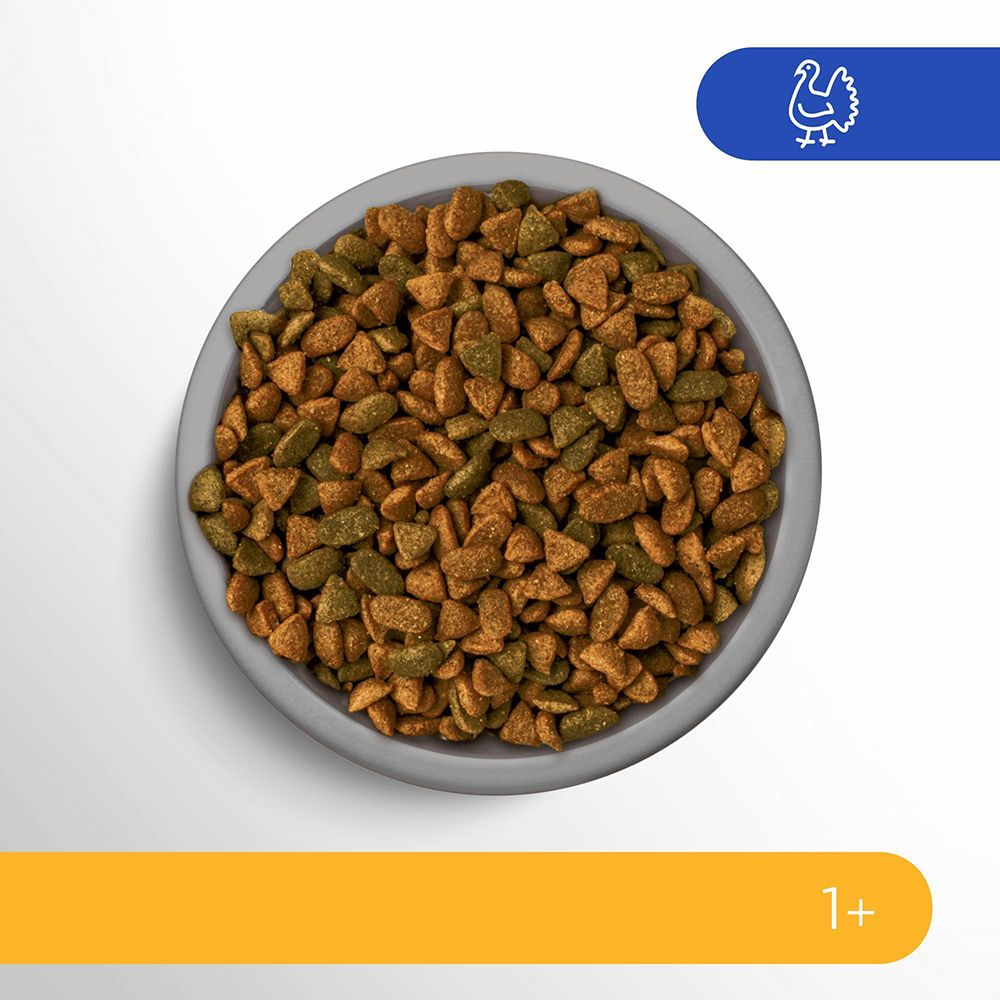 Schale mit Perfect Fit Trockennahrung für Katzen, Sorte Sensitive 1+, Reich an Truthahn.