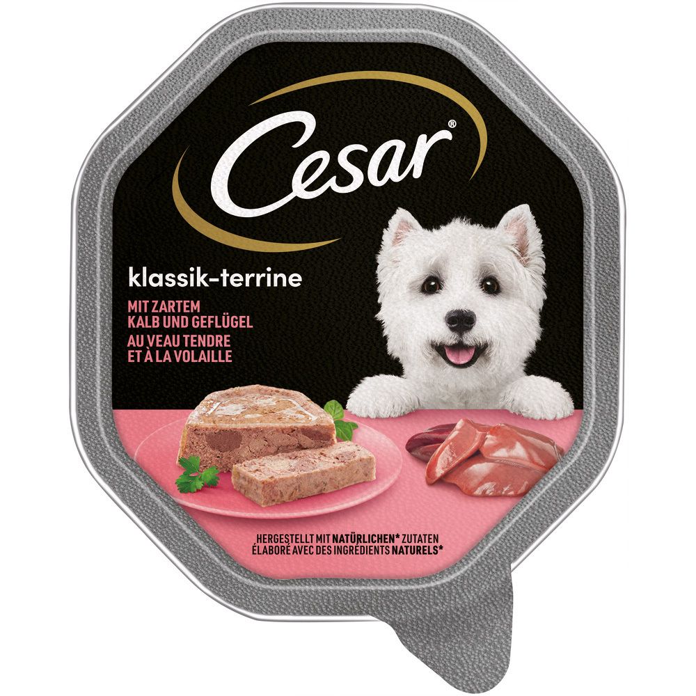Hundefutter-Schale Cesar Klassik-Terrine Kalb und Geflügel mit einem West Highland White Terrier.