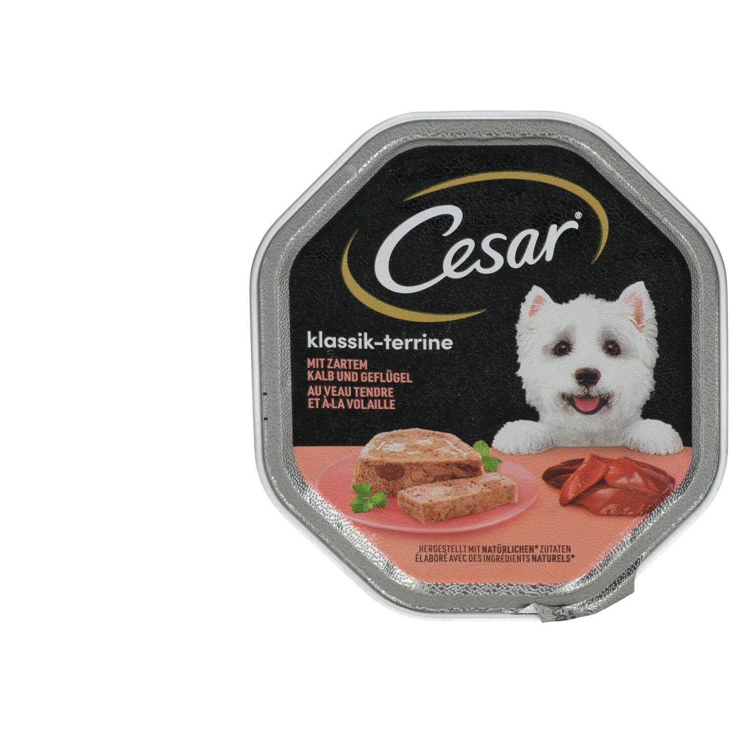 Hundefutter-Schale Cesar Klassik-Terrine Kalb und Geflügel mit einem West Highland White Terrier.