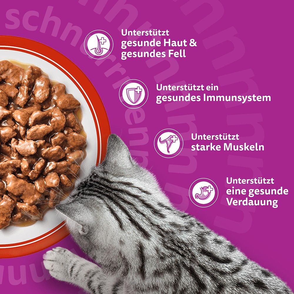 Whiskas Futter: Unterstützt gesunde Haut, Fell, Immunsystem, Muskeln und Verdauung.