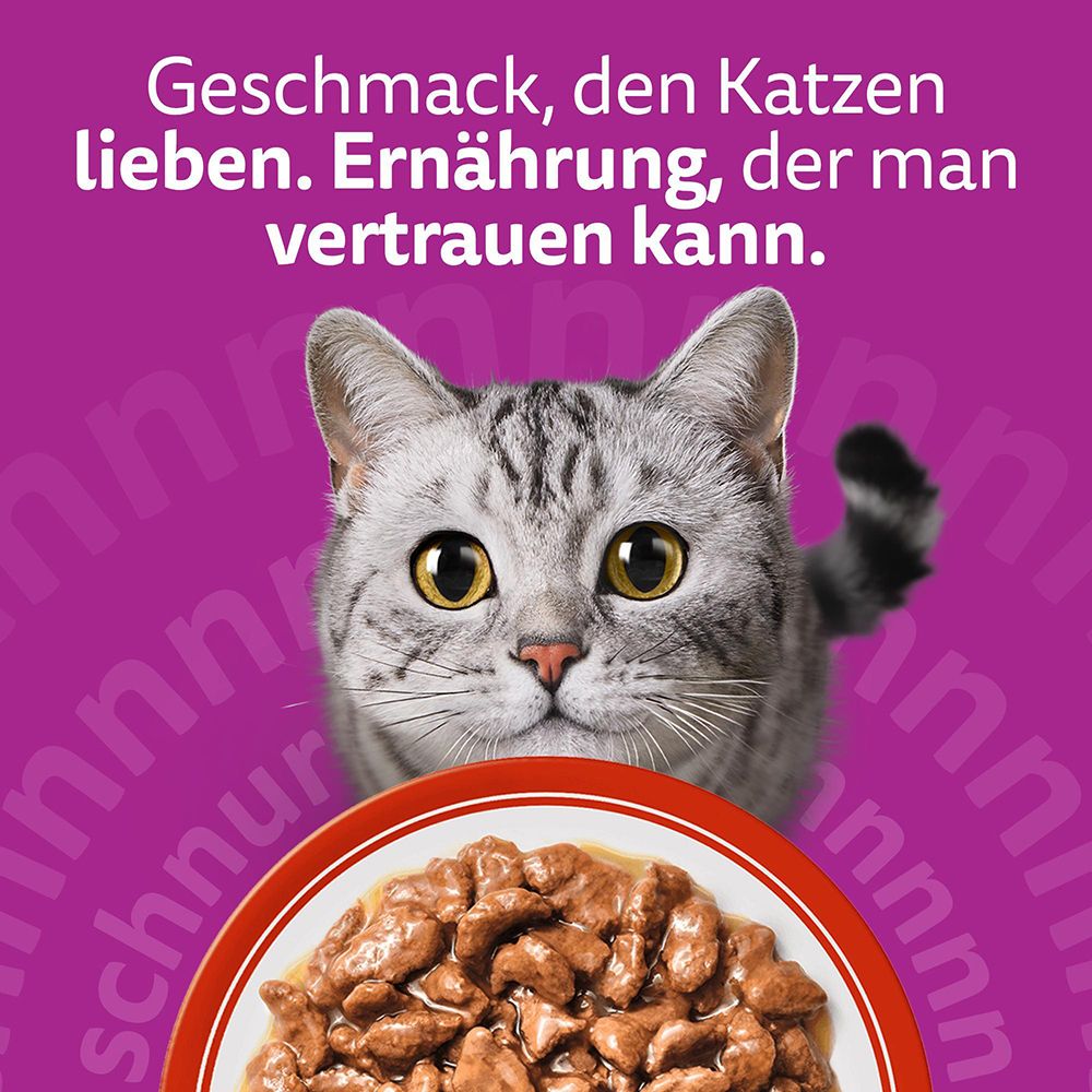 Whiskas: Geschmack, den Katzen lieben. Ernährung, der man vertrauen kann.