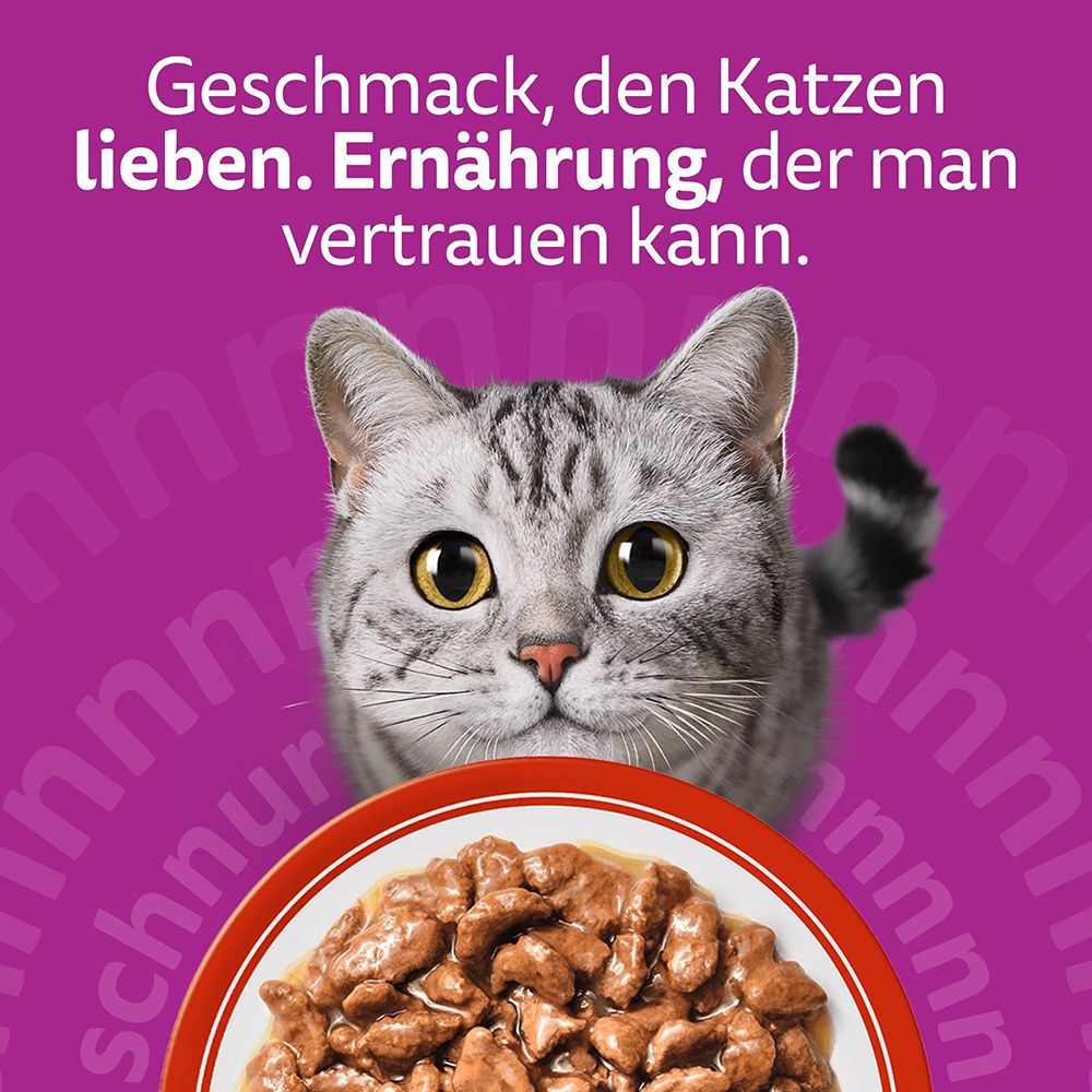 Whiskas Frischebeutel: Geschmack, den Katzen lieben. Ernährung, der man vertrauen kann.