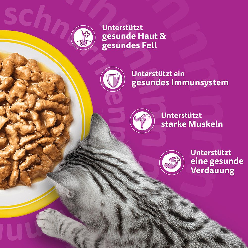 Whiskas Nassfutter unterstützt Haut, Fell, Immunsystem und Muskeln.