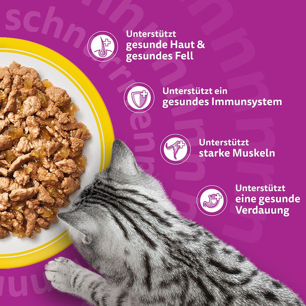 Whiskas Katzennahrung unterstützt Haut, Fell, Immunsystem, Muskeln und Verdauung.