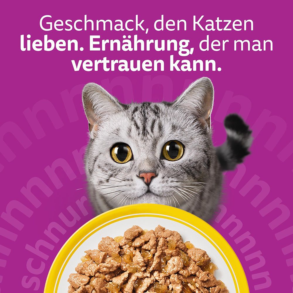 Whiskas Katzennahrung: Geschmack, dem Katzen lieben, Ernährung, der man vertrauen kann.