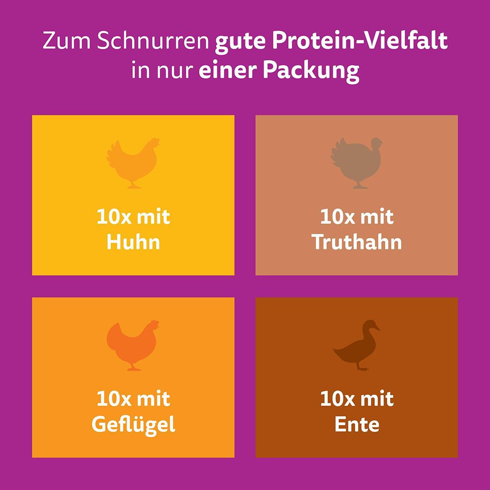 Whiskas Katzennahrung: 10x Huhn, 10x Truthahn, 10x Geflügel, 10x Ente.