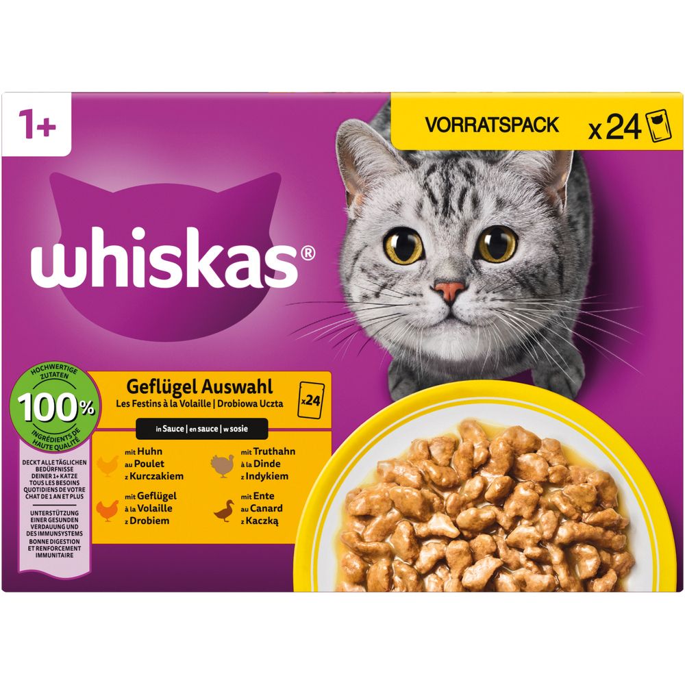 Whiskas Geflügel Auswahl 1+ Vorratspackung mit 24 Beuteln. Eine Katze schaut auf eine Schale mit Nassfutter.