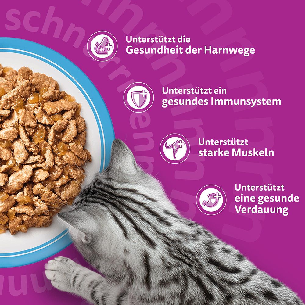 Whiskas Senior: Unterstützt Harnwege, Immunsystem, Muskeln, Verdauung. Mit Katzengesicht.
