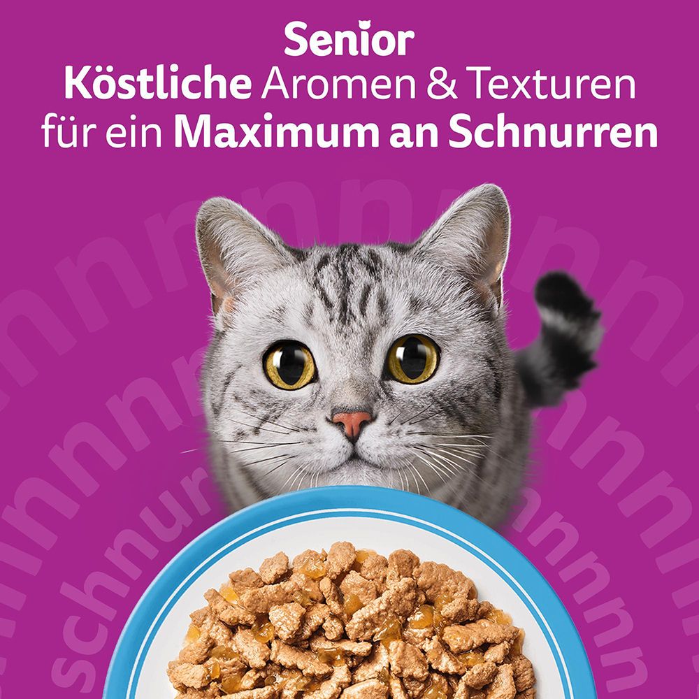 Whiskas Senior: Köstliche Aromen & Texturen für ein Maximum an Schnurren. Katzengesicht.
