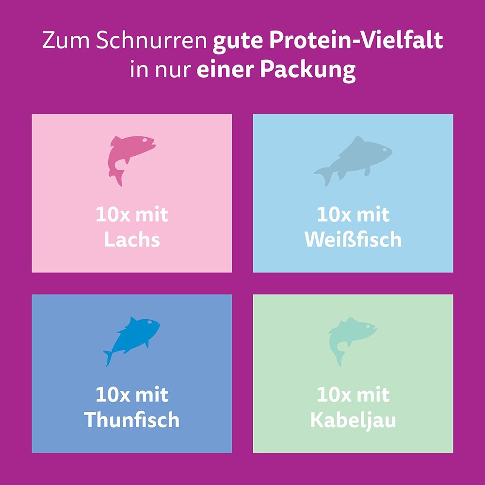 Whiskas: 10x Lachs, 10x Weißfisch, 10x Thunfisch, 10x Kabeljau in Gelee.