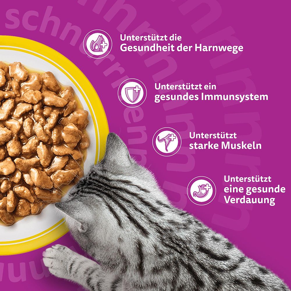 Whiskas Senior unterstützt Harnwege, Immunsystem, Muskeln und Verdauung.