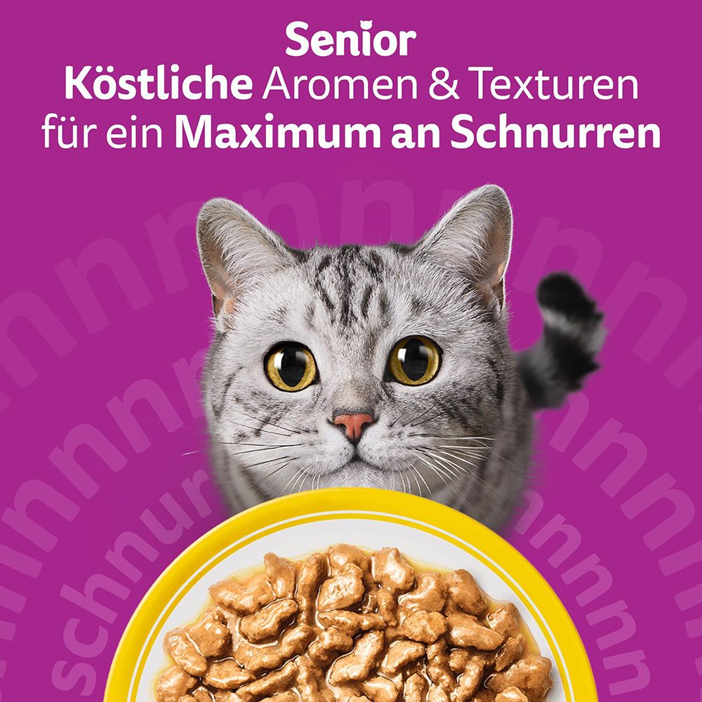 Whiskas Senior: Köstliche Aromen & Texturen für ein Maximum an Schnurren.
