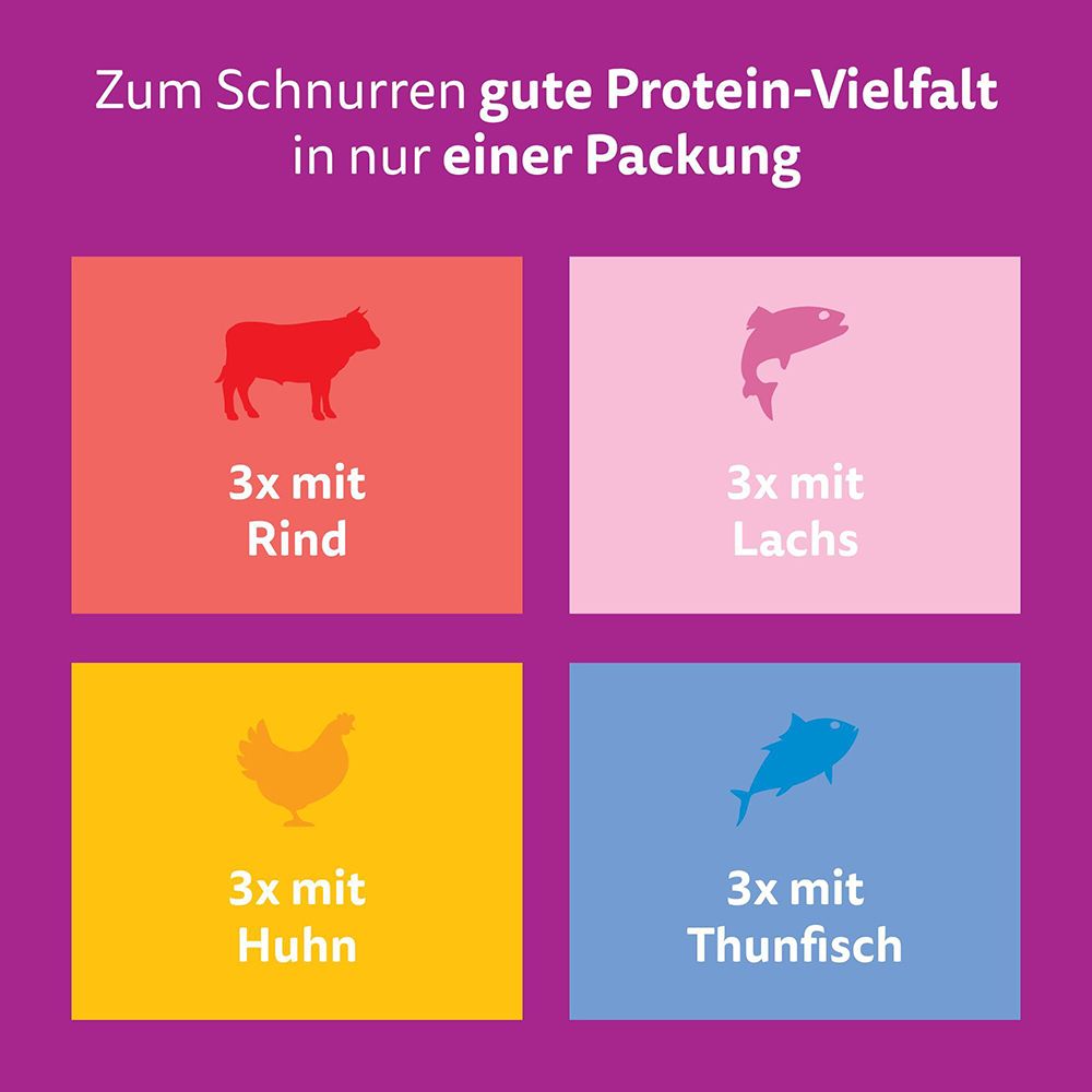 Whiskas Pure Delight: Protein-Vielfalt in einer Packung: Rind, Lachs, Huhn, Thunfisch.