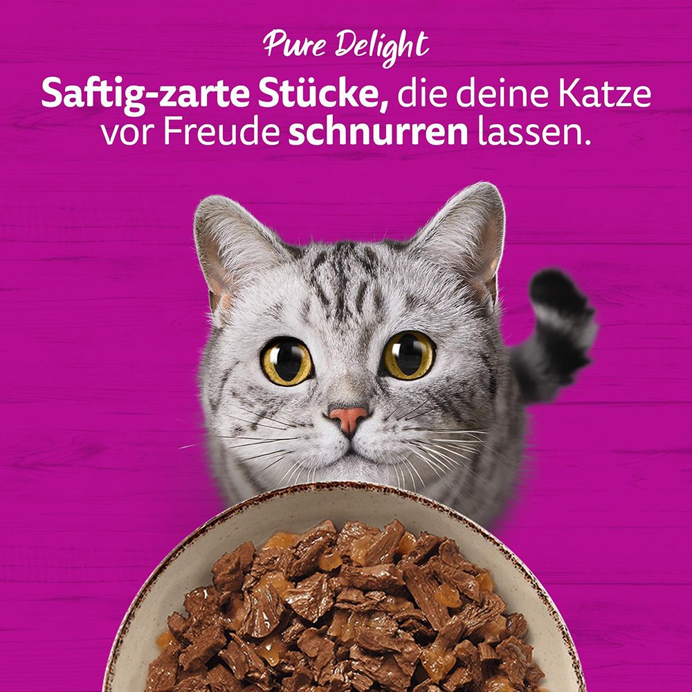 Whiskas Pure Delight: Saftig-zarte Stücke in Gelee, mit Katze und Futterschale.