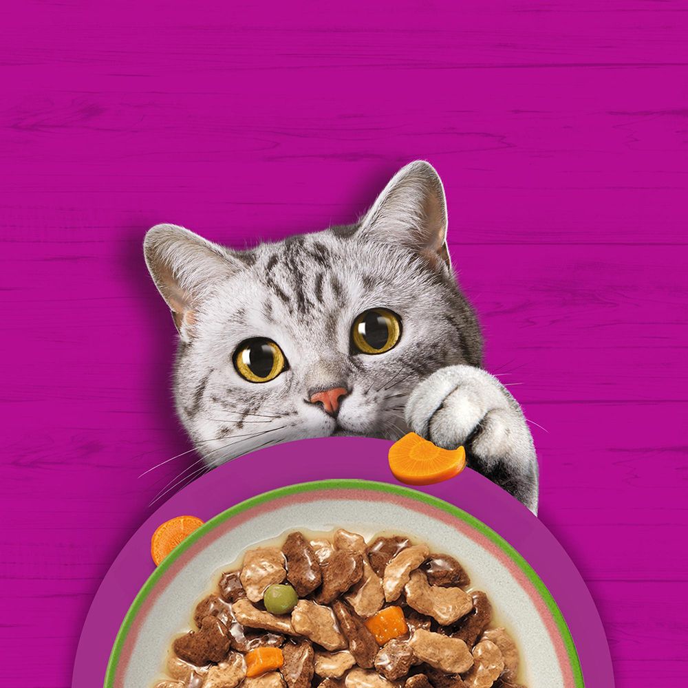 Katze schaut über eine Schüssel mit Whiskas Tasty Mix Chef's Choice Katzenfutter in Sauce.