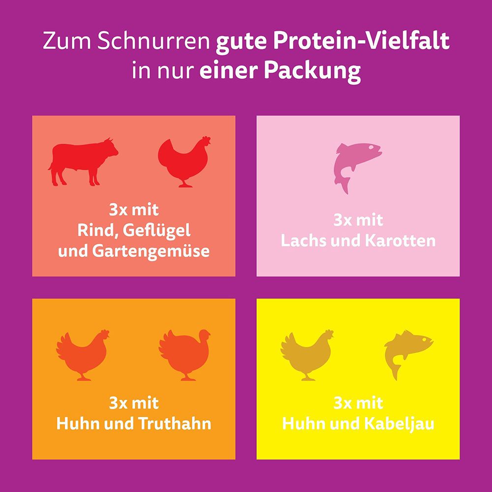Whiskas Tasty Mix Chef's Choice: 4 Sorten in einer Packung: Rind, Lachs, Huhn, Kabeljau.