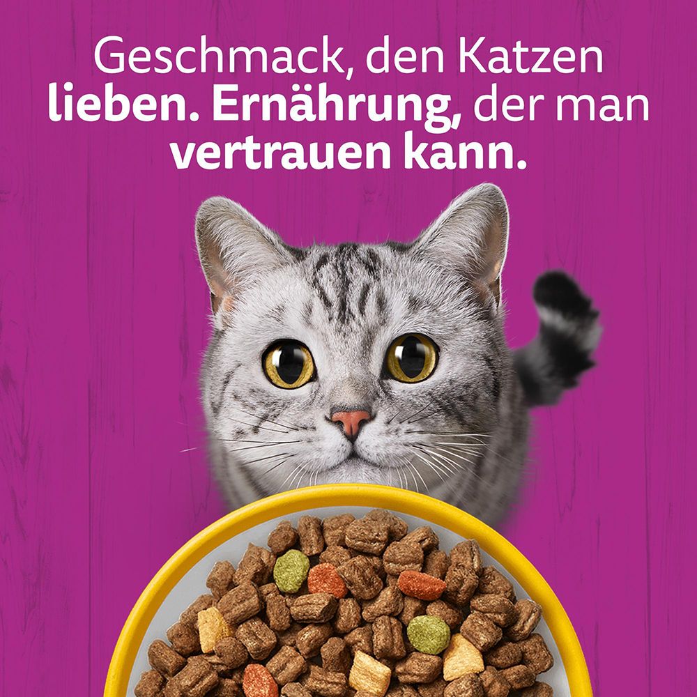 Whiskas Trockenfutter mit Huhn: Geschmack, den Katzen lieben, Ernährung, der man vertrauen kann.