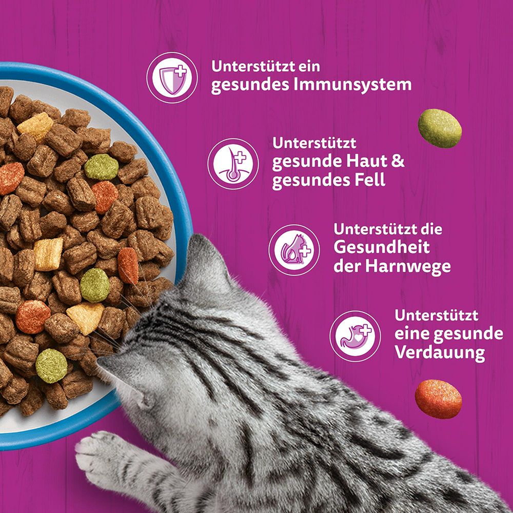 Whiskas Trockenfutter: Unterstützt Immunsystem, Haut & Fell, Harnwege und Verdauung. Katze frisst.