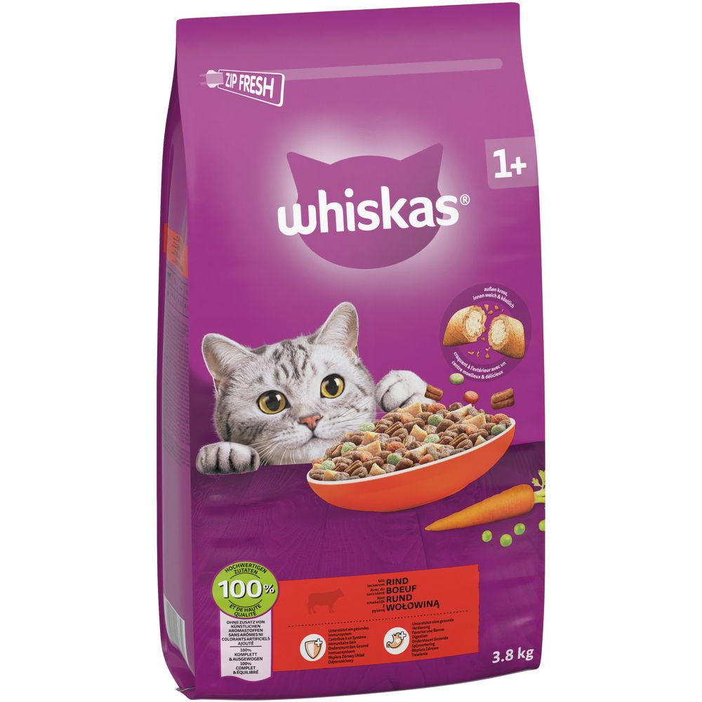 Whiskas Trockenfutter mit Rind, 3,8kg Beutel. Katze schaut auf eine Schüssel mit Futter.