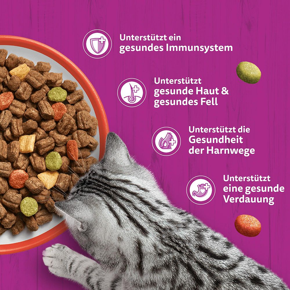 Whiskas Trockenfutter unterstützt Immunsystem, Haut, Fell und Harnwege. Katze frisst aus Schüssel.