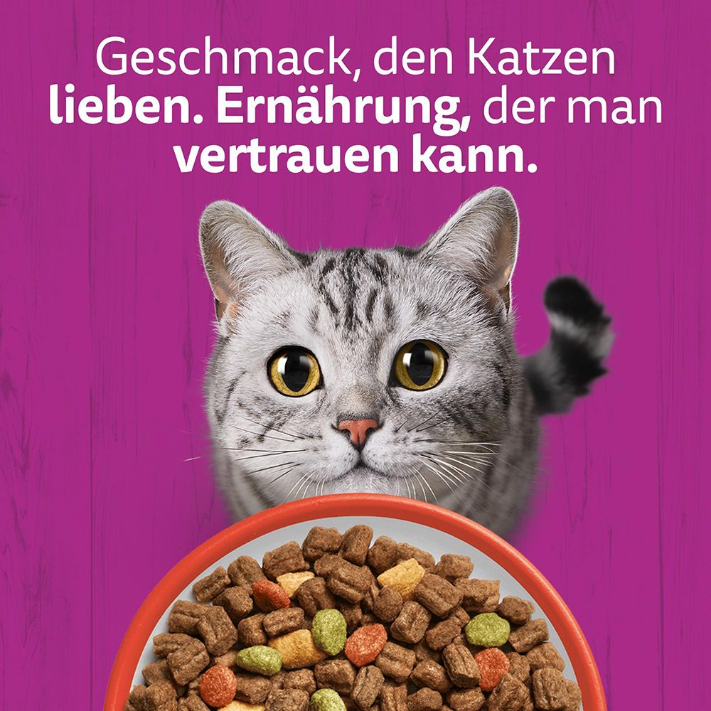 Whiskas Trockenfutter: Geschmack, den Katzen lieben. Ernährung, der man vertrauen kann.