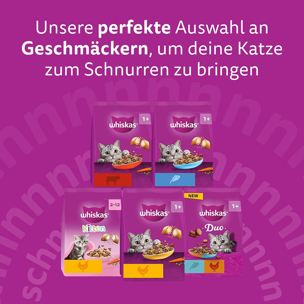 Whiskas Sorten: Rind, Huhn, Lamm, Fisch, Kitten, Duo. Verschiedene Geschmäcker für Katzen.