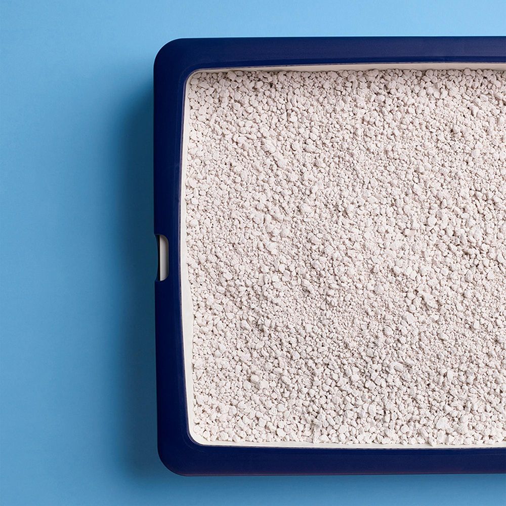 Eine blaue Katzentoilette gefüllt mit CATSAN Hygiene Plus Katzenstreu, aus der Vogelperspektive.