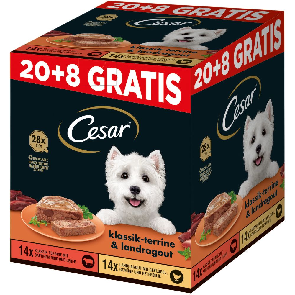 Cesar Schale PLUSPACK 20 + 8 GRATIS Hundefutter-Box mit 2 Sorten, West Highland Terrier Motiv.