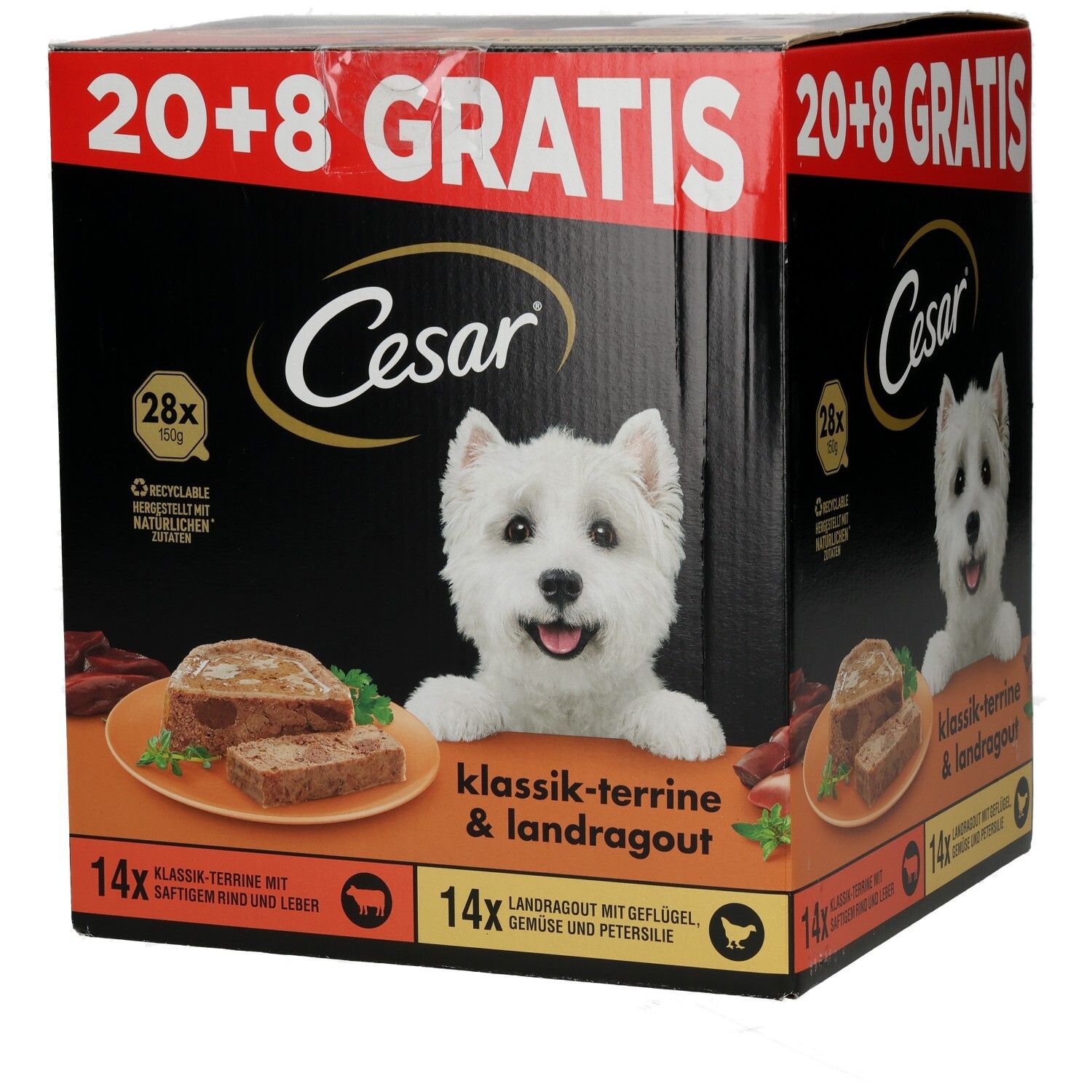 Cesar Schale PLUSPACK 20 + 8 GRATIS Hundefutter-Box mit 2 Sorten, West Highland Terrier Motiv.