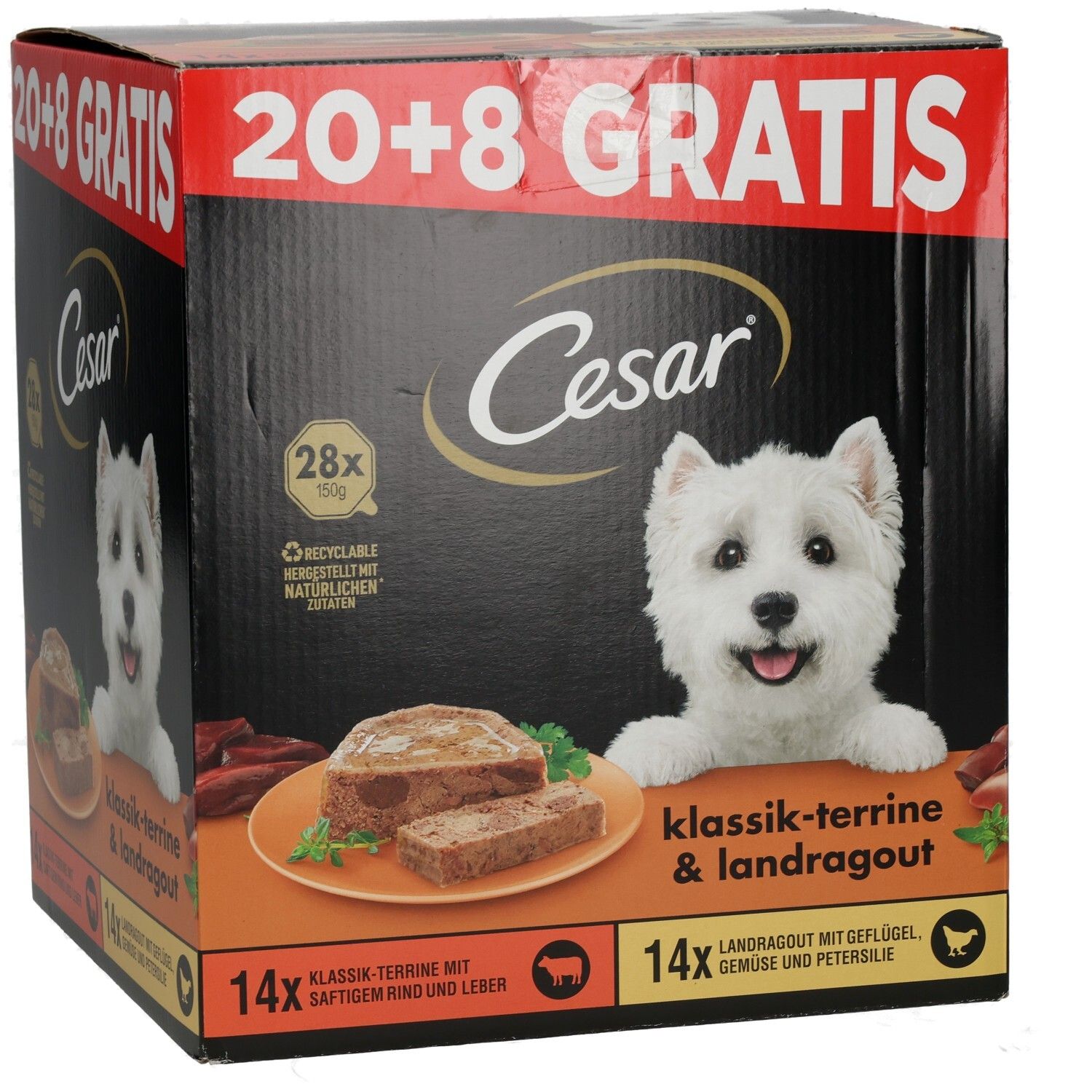 Cesar Schale PLUSPACK 20 + 8 GRATIS Hundefutter-Box mit 2 Sorten, West Highland Terrier Motiv.