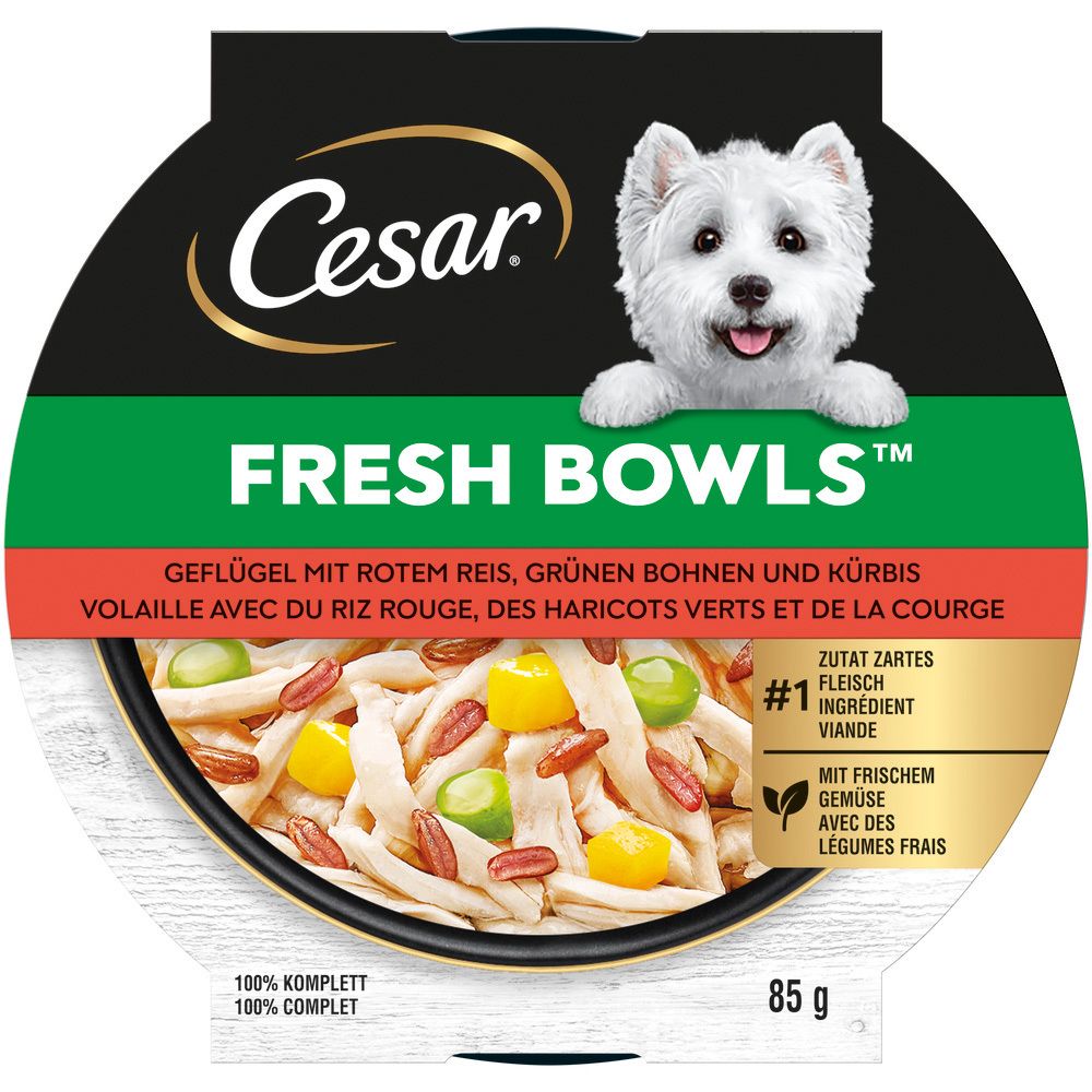 Hundefutter-Schale Cesar Fresh Bowls mit Geflügel, rotem Reis, grünen Bohnen und Kürbis. 85g.