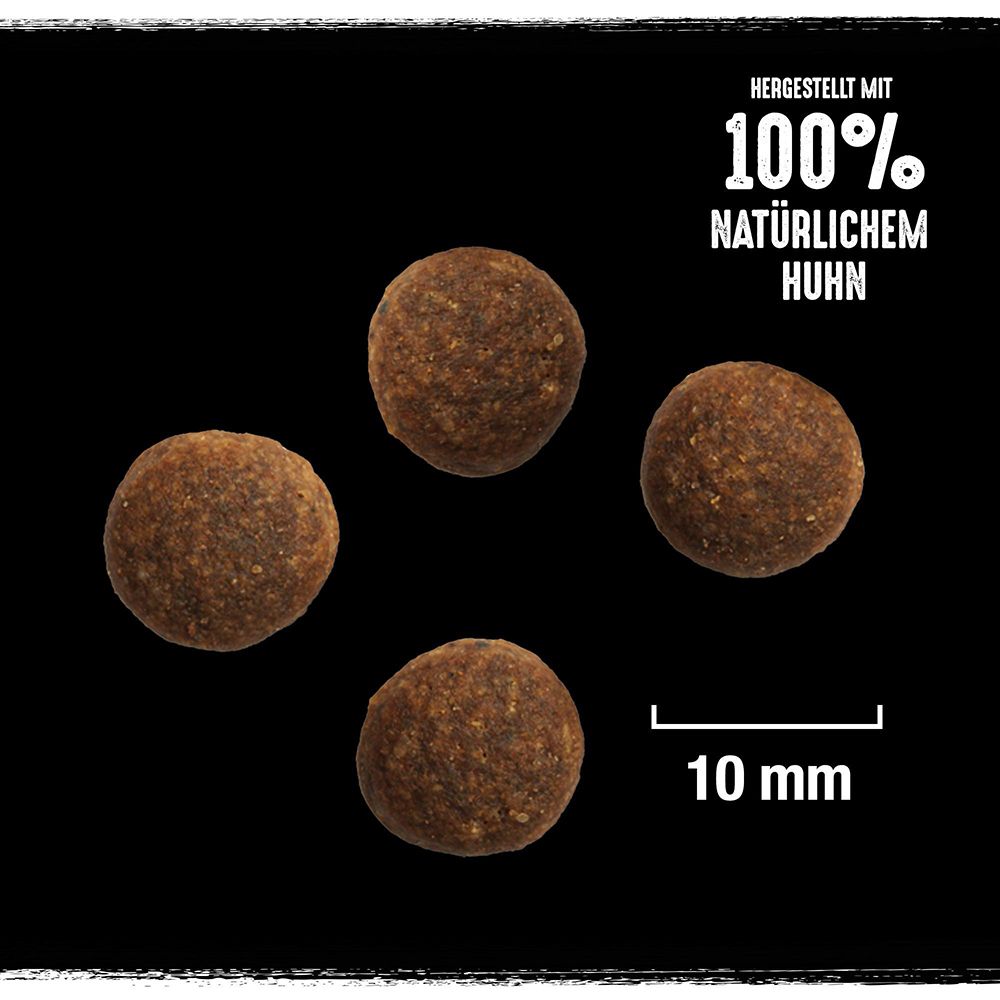 Nahaufnahme von vier Crave Hundetrockenfutter-Kroketten, ca. 10mm Durchmesser.