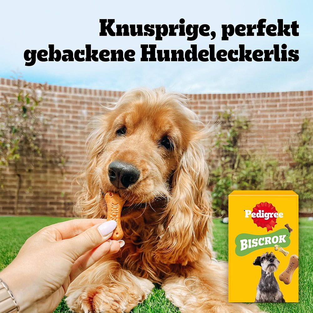 Ein Hund frisst einen Pedigree Biscrok Keks, gehalten von einer Hand, mit Verpackung im Hintergrund.
