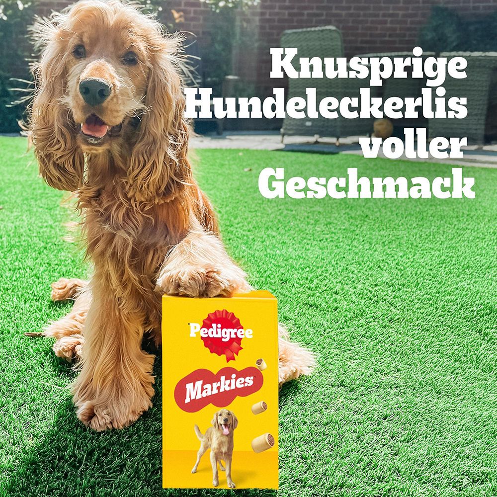 Ein Cocker Spaniel sitzt neben einer Packung Pedigree Markies im Freien, mit Text über knusprige Leckerlis.