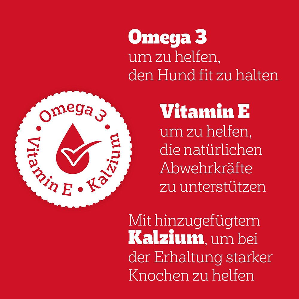 Informationen zu Omega 3, Vitamin E und Kalzium für Hunde.