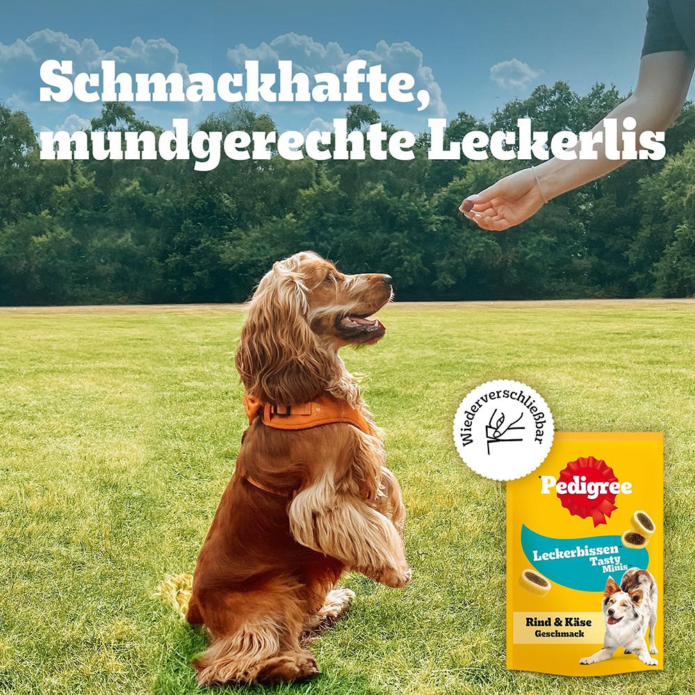Hund sitzt im Gras und schaut zu einer Hand, die Leckerlis anbietet. Pedigree Verpackung.