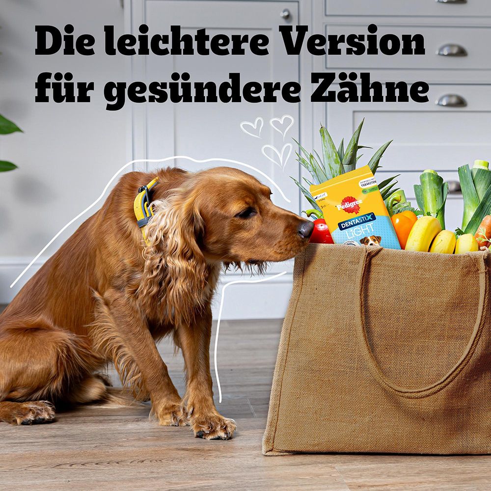 Ein Hund schnüffelt an einer Einkaufstasche mit Lebensmitteln und Pedigree Denta Stix Light. Text: 'Die leichtere Version für gesündere Zähne'.