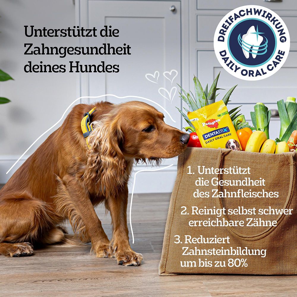 Hund kaut auf Pedigree DentaStix, das die Zahngesundheit unterstützt.