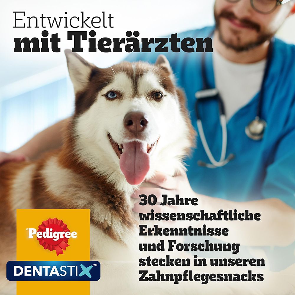 Tierarzt untersucht einen Hund mit Pedigree DentaStix Zahnpflege-Snacks.