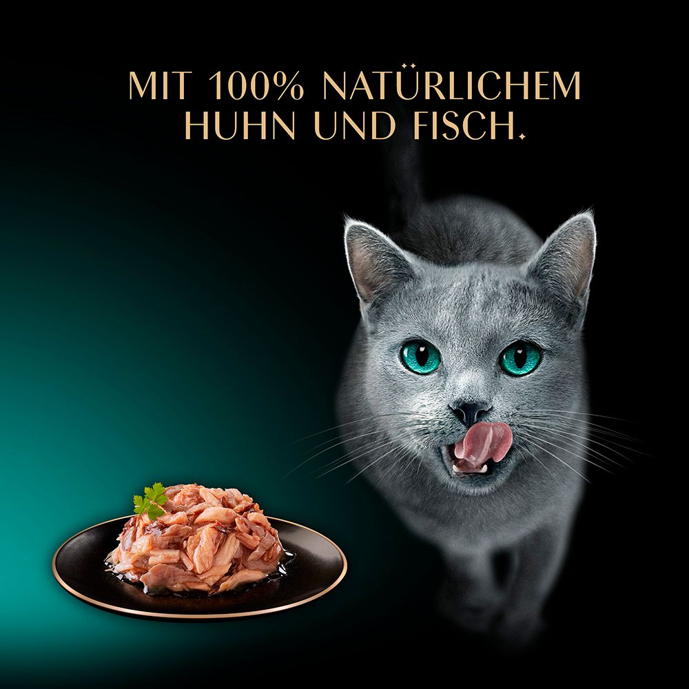 Sheba Filets mit Huhn und Fisch, präsentiert mit einer Katze.