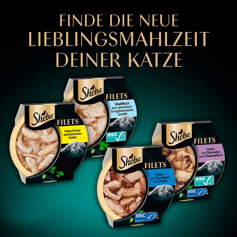Sortenvielfalt Sheba Filets: Huhn, Thunfisch, Huhn & Fisch, Huhn & Meeresfisch.
