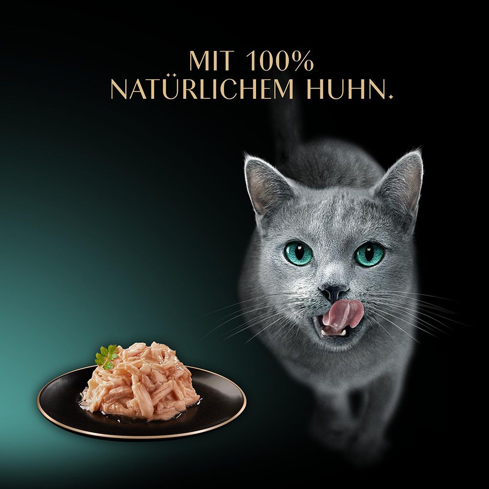 Sheba Filets mit 100% natürlichem Huhn. Ein grauer Kater leckt sich die Schnauze.
