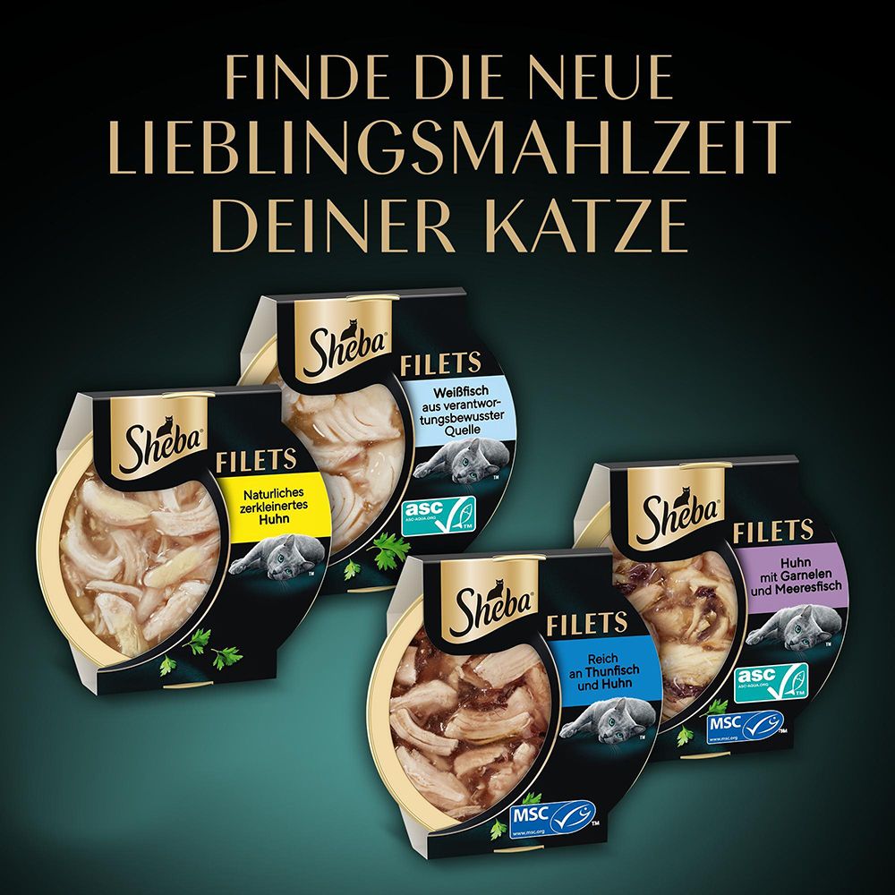 Sheba Filets: Verschiedene Sorten im Multipack. Huhn, Fisch, Huhn mit Meeresfisch.