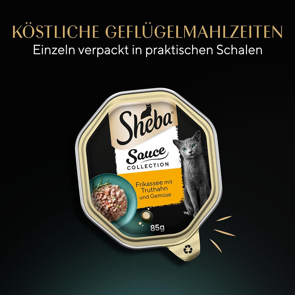 Sheba Schale 85g Frikassee mit Truthahn und Gemüse. Geöffnet, mit Futter und Katze.