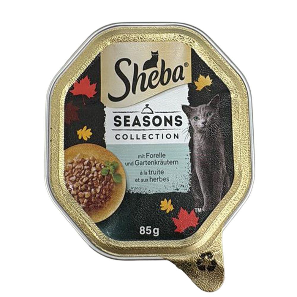 Sheba Schale 85g Seasons Collection mit Forelle und Gartenkräutern. Katzenfutter in einer Schale mit Forelle und Kräutern.