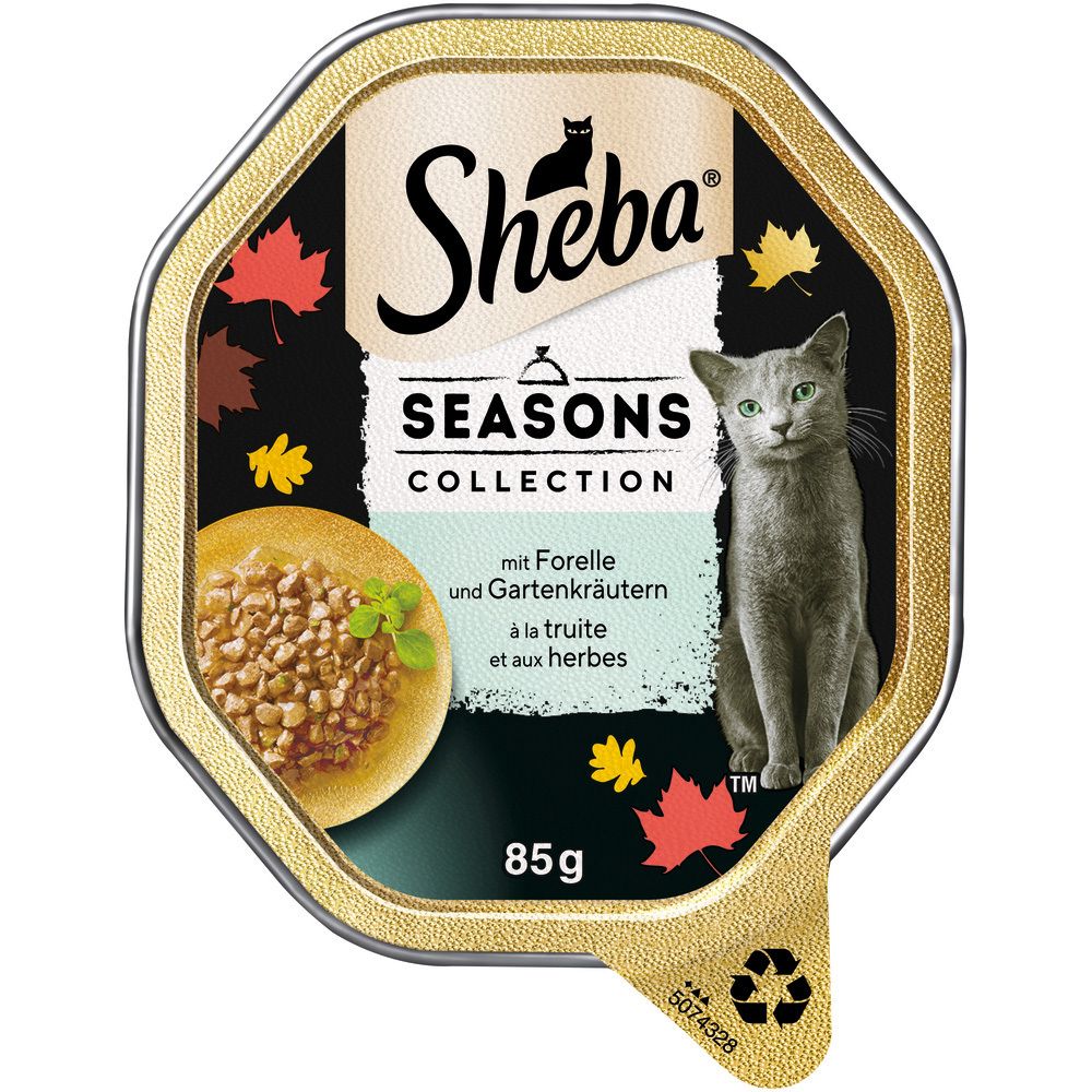 Sheba Schale 85g Seasons Collection mit Forelle und Gartenkräutern. Katzenfutter in einer Schale mit Forelle und Kräutern.