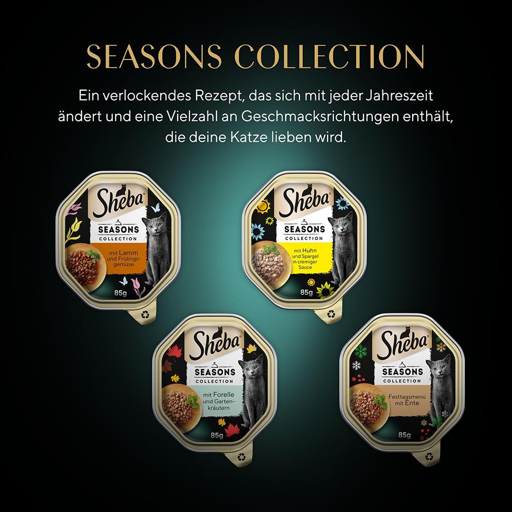 Sheba Seasons Collection: Vier verschiedene Rezepturen für Katzen. Vier Schalen mit je 85g Katzenfutter.
