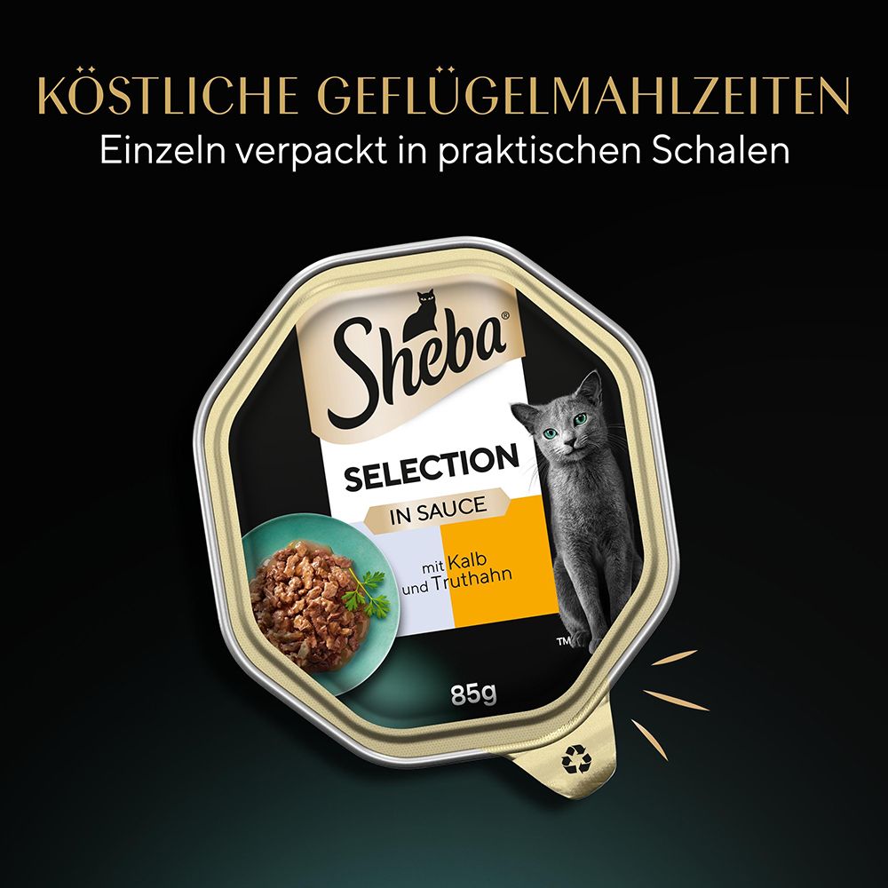 Sheba Selection Schale mit Kalb und Truthahn in Sauce, 85g. Einzeln verpackt in praktischen Schalen.