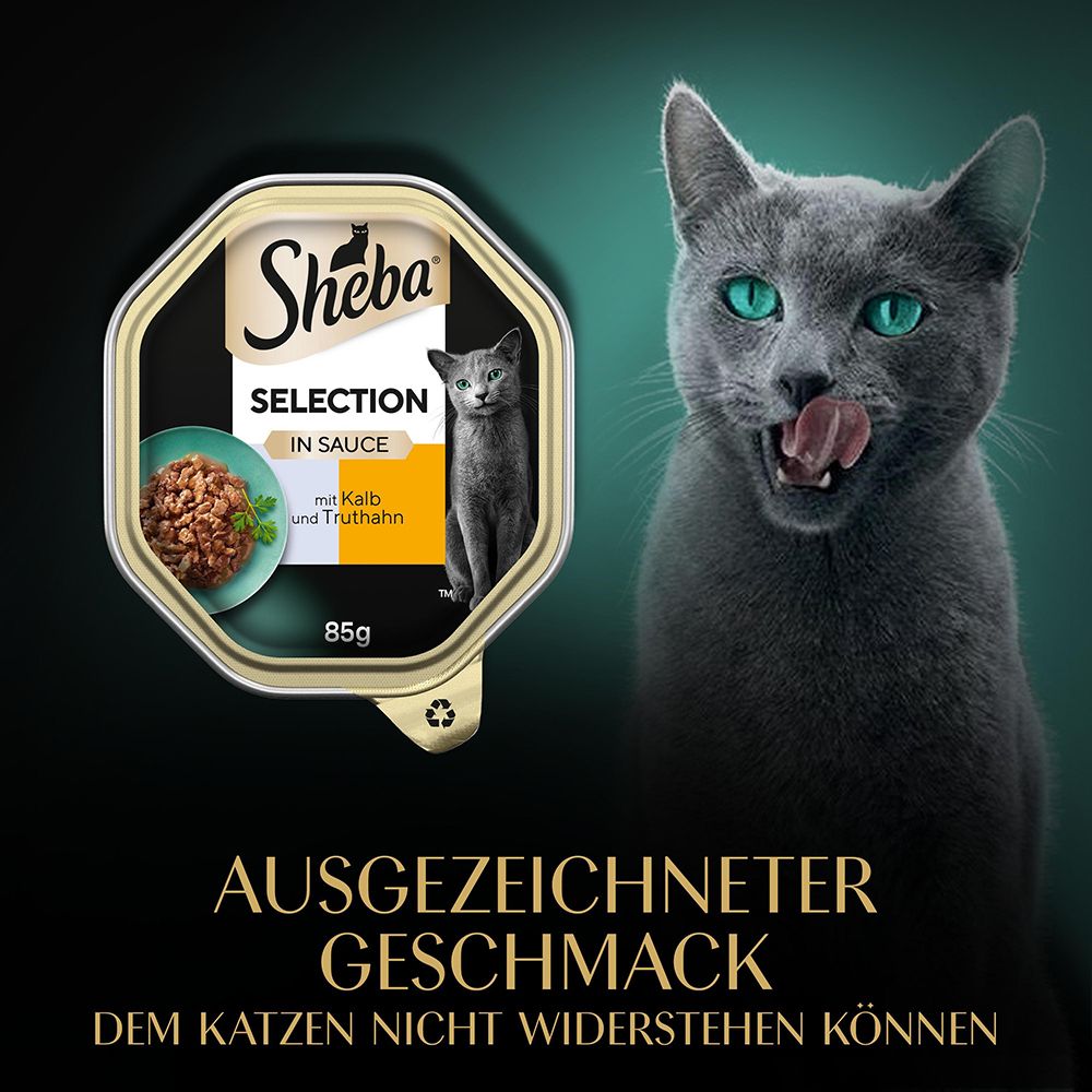 Sheba Selection Schale mit Kalb und Truthahn in Sauce, 85g. Eine Katze leckt sich die Lippen.